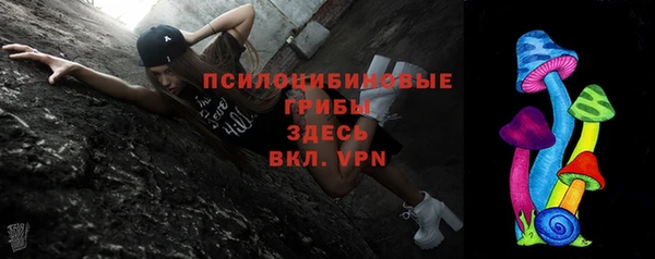 спайс Баксан