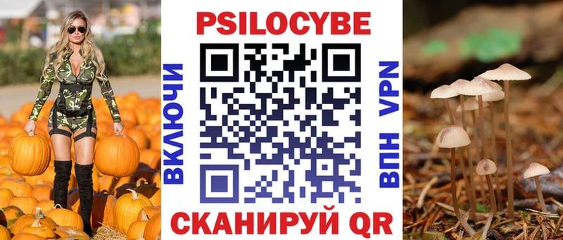 Псилоцибиновые грибы Cubensis  где можно купить   omg сайт  Кяхта 